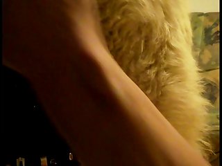 Bones Tales Dog Porn