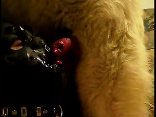 Bones Tales Dog Porn