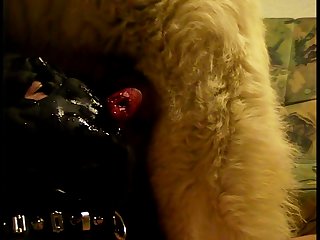 Bones Tales Dog Porn