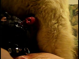 Bones Tales Dog Porn