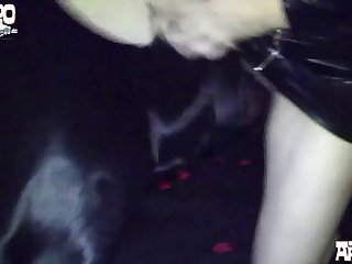 Kinky Dog Porn