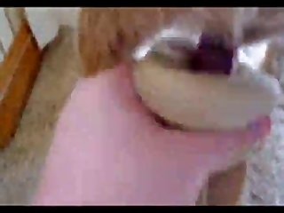 Active Dog Porn Compilation