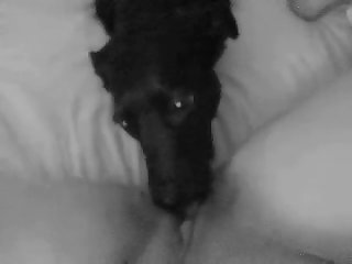 Girs Dog Porn