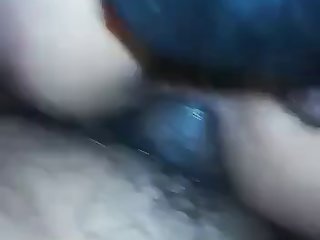 Zoo Porn Party