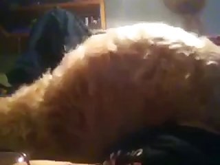 Enjoy Animal Sex With A Busty Gal