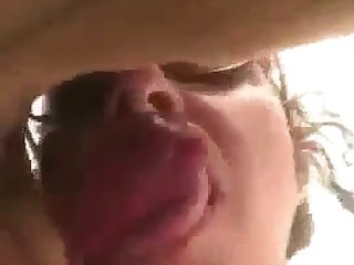 Animal Horse Cum