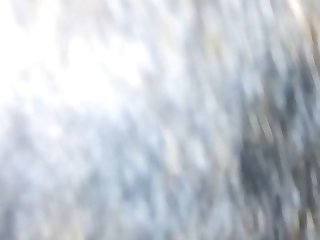 Horse Porn Real Life