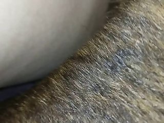 Horse Porn Real Life