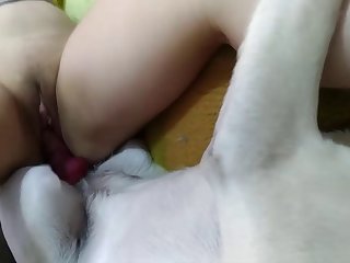 Art Of Zoo And Open Videos