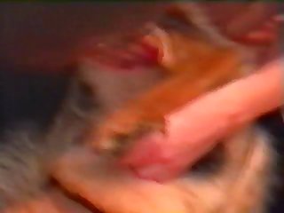 Video De Sexo Com Roupa