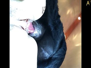 Sex Dog
