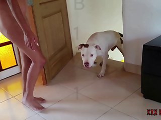Bookmark Bestialica