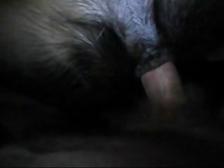 Porno Con Animali