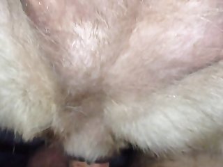 Women Having Sex With Animals
