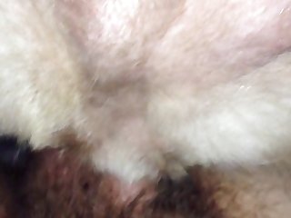 Women Having Sex With Animals
