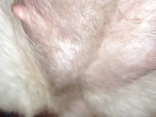 Women Having Sex With Animals