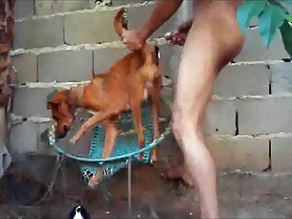 Dog porn amateur Animal Sex