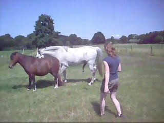 Basjeslotjes Unification