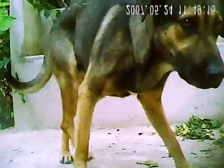 Angle 2.wmv