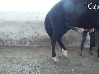 Horse Dog Xxxcom Vedio Donlod - Nadya Horse 3 Wildfire 1