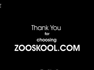 Zooxhamster