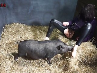 Is Bestiality Porn