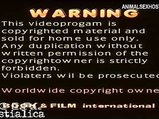 Zoophilia Porn Xvideos