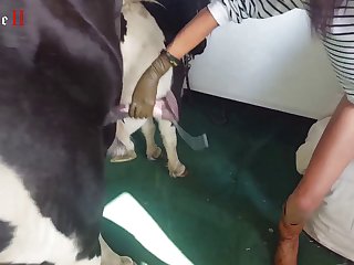 Zoofilia K9
