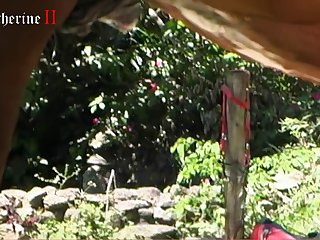 Boys And Animal Sex Video