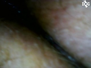 Free Sex Videos Animal