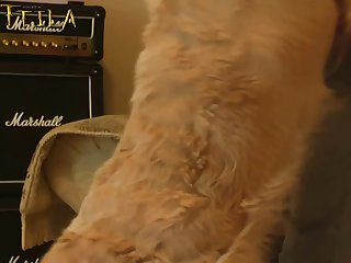 Why Would Anyone Engage In Sex With An Animal