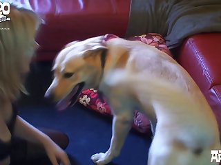 Sex Girl And Animal Video