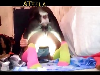 Sex Dolls Animal