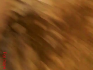 Graphic Animal Sex