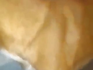 Animal Sex Horse Sex