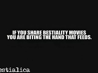 Home Alone Animal Sex