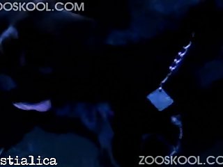 Human Have Sex Animal