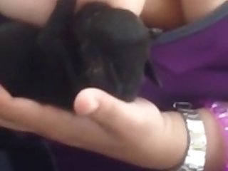 Xnxx Sex Animal
