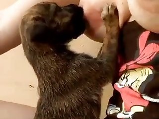 Animal That Dies During Sex