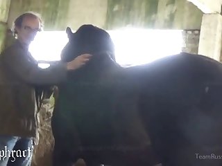 Animal Sex Vedios