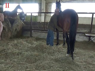Sex Man And Animal