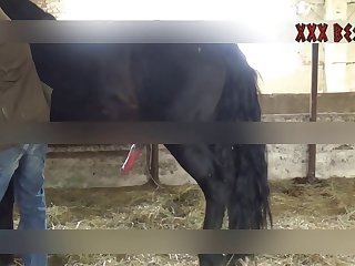 Best Animal To Have Sex With