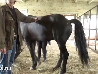 Free Animal Sex Stories