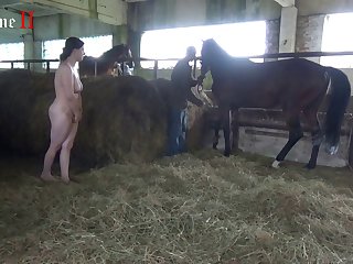 Animal Kingdom Gay Sex