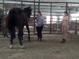 Real Animal Sex Videos