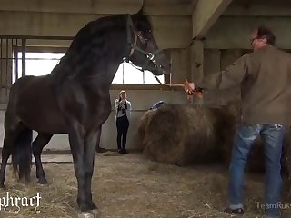 Sex Man With Animal