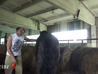 Woman With Animal Sex