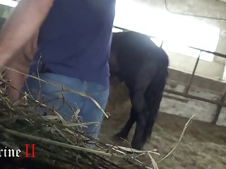 Animal Sex Chat