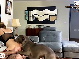 Animal Sex Gof