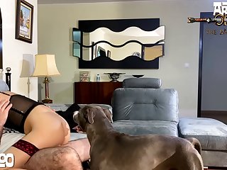 Animal Sex Gof